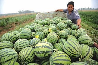 高密吃瓜最新事件爆料是真的吗,最新爆料真相揭秘